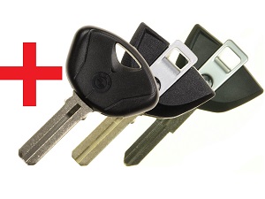 BMW Program / Duplicate copy clone transponder chip key